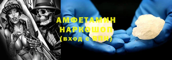 шишки Няндома
